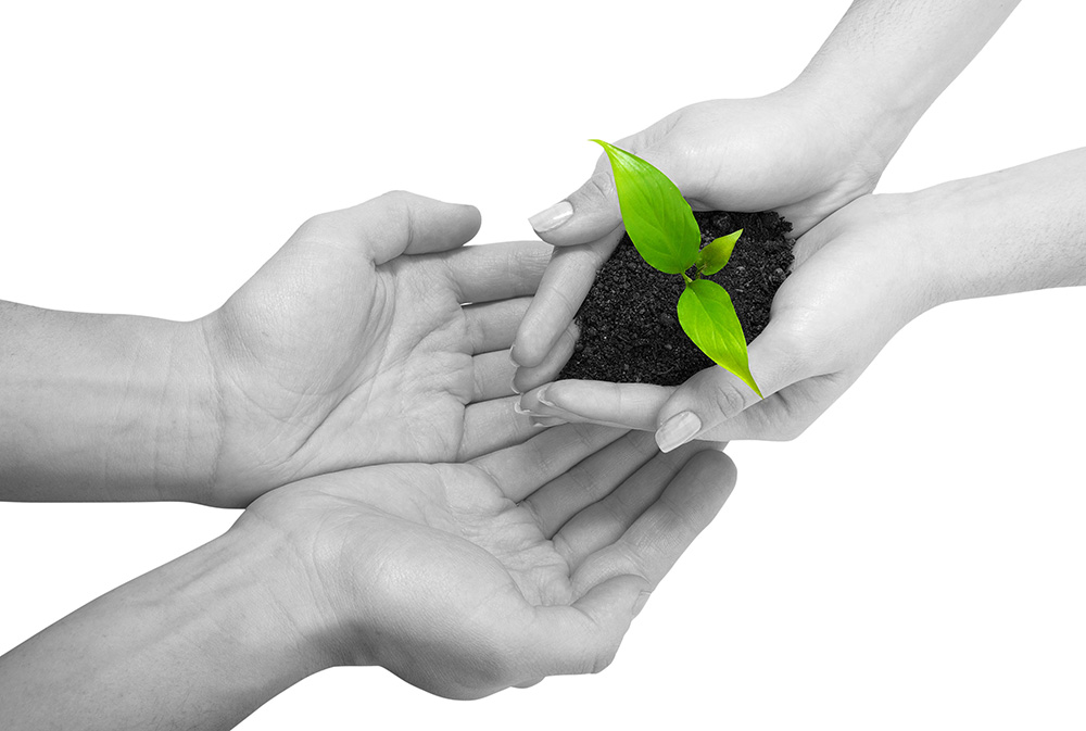 网站ddos隐藏源ip